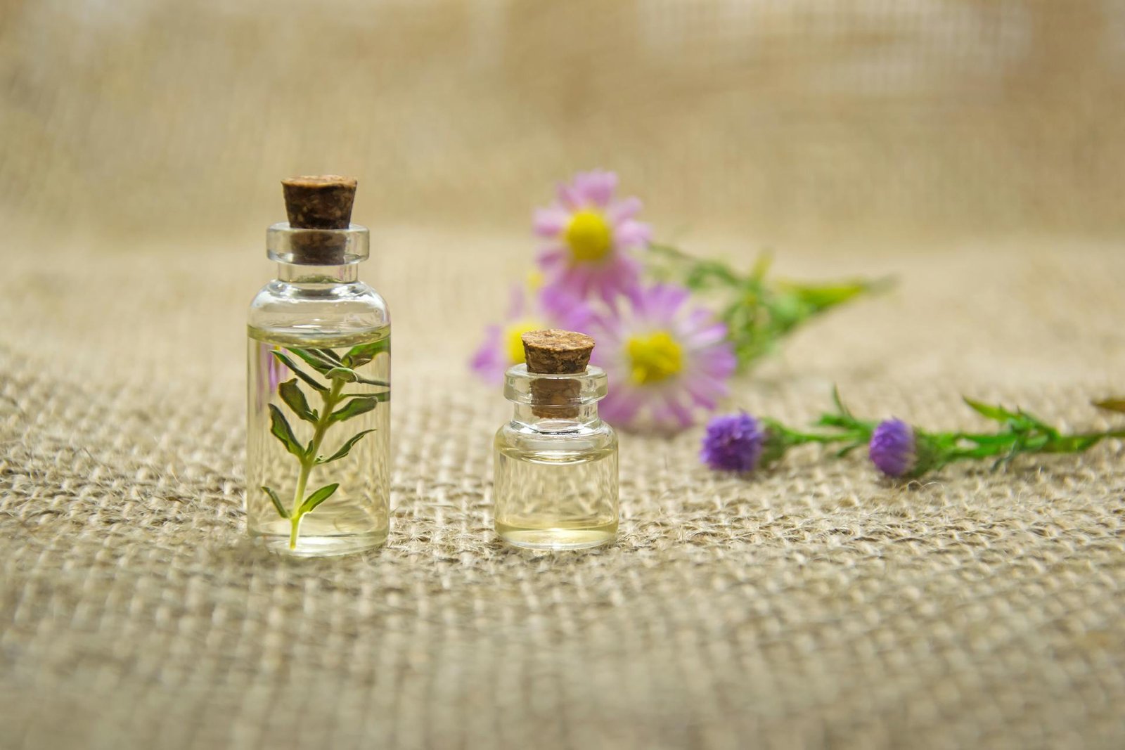 Enhancing Wellbeing With Aromatherapy